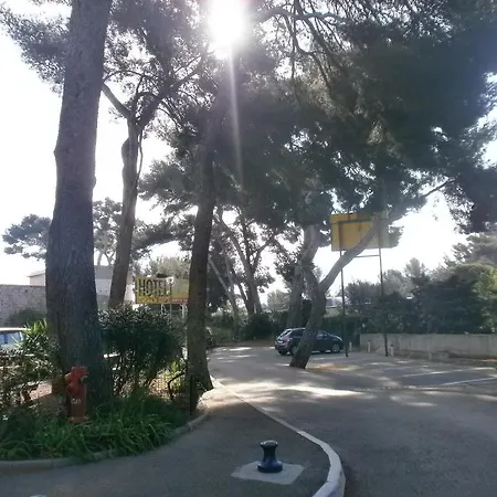 Parc Azur - Toulon